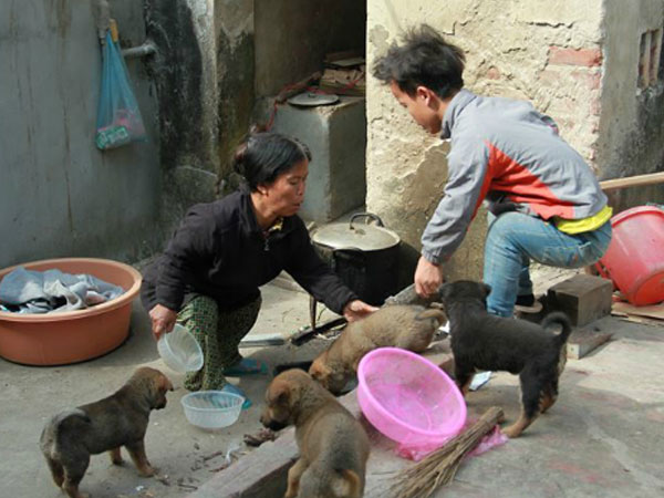 Cảnh đời ăn cháo thay cơm của nhà 3 người lùn ở Hưng Yên