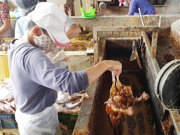 Cận cảnh lò mổ lớn ở miền Tây dùng dung dịch 'lạ' làm sạch lông vịt