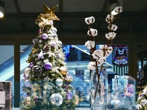 Không phải thông, cây bông mới là mặt hàng Noel yêu thích ở TQ, giá lên tới hơn 600 nghìn/cây