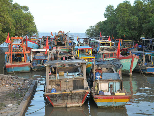 Tiền Giang còn gần 800 tàu đánh bắt xa bờ đang trên biển
