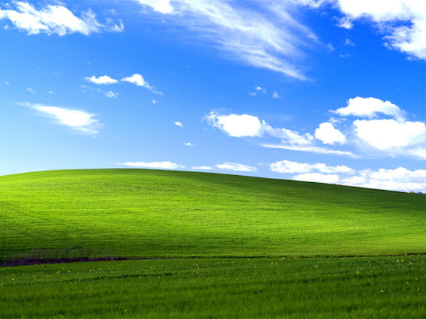 Hình nền Windows XP huyền thoại có giá hơn 100.000 USD