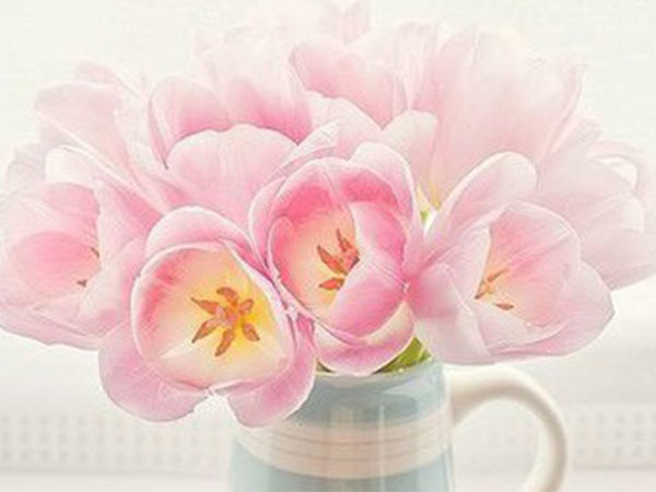 Thứ Năm của bạn (28/12): Bọ Cạp năng lượng dồi dào