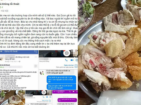 Bỏ gần triệu mua gà không lối thoát trên mạng, bà nội trợ rước về gà sống nhăn