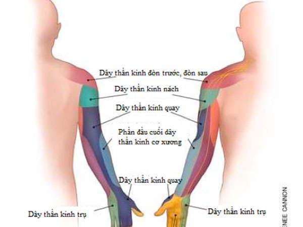Vì sao ngủ dậy hay bị tê buốt tay?