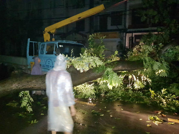TP.HCM mưa lớn trước bão số 14, đường ngập, cây đổ