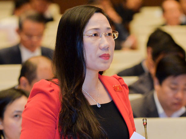 Đại biểu Quốc hội đề xuất 'tịch thu tài sản không giải trình được nguồn gốc'