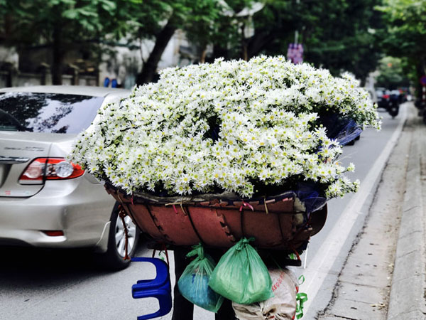 Mùa cúc họa mi: Chị em phát cuồng, dân Nhật Tân cười thầm