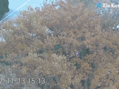Video: Vụ đào tẩu kịch tính của binh sỹ Triều Tiên vừa được tiết lộ