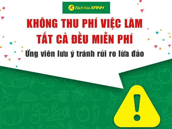 Bách hóa Xanh: Tuyển dụng không mất phí nhưng nhiều người vẫn sập bẫy cò