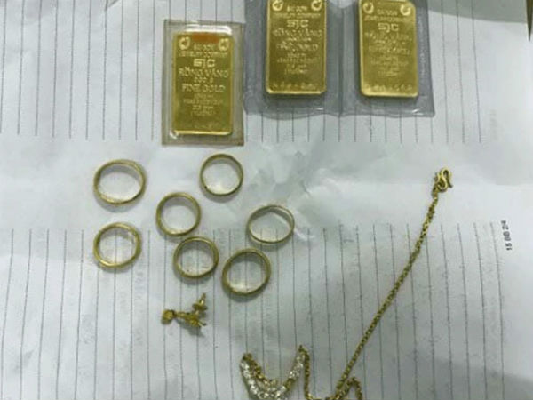10X giúp việc cuỗm 6,5 cây vàng của chủ