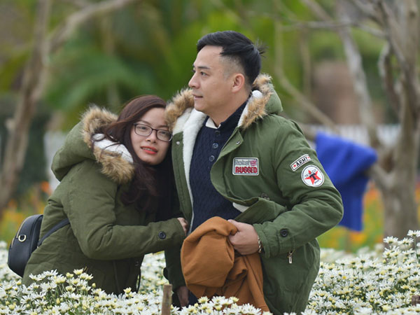 Đổ xô tạo dáng với cúc họa mi trong giá rét