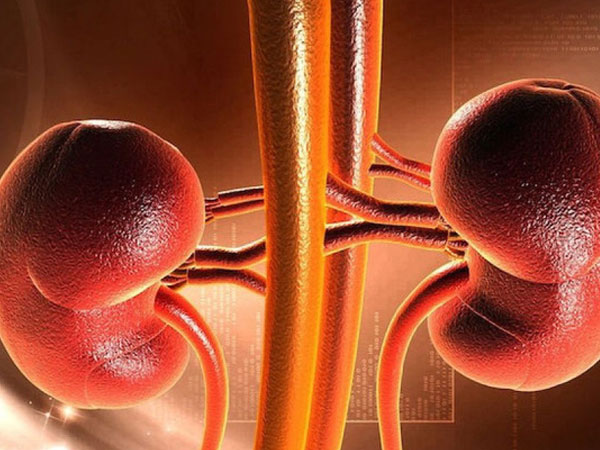 TS Mỹ chỉ rõ 5 bộ phận cơ thể tích tụ nhiều độc nhất: Nên ưu tiên thải độc để phòng bệnh