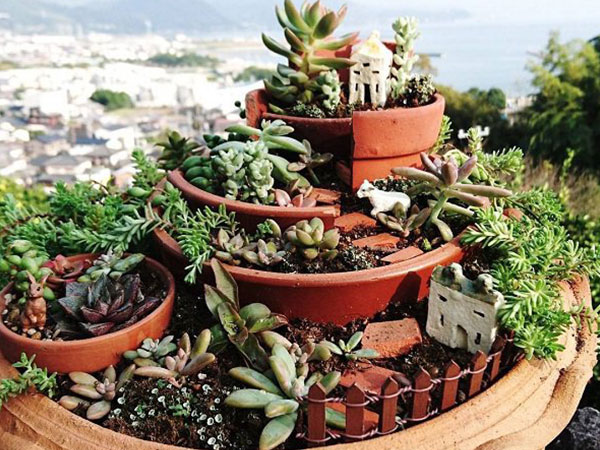 Không cần mua chậu mới, vẫn trồng được cả 'vườn cây cảnh mini' tuyệt đẹp từ mảnh chậu vỡ