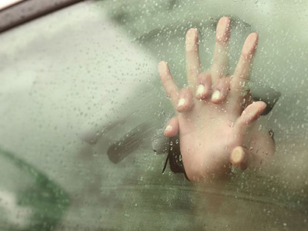 Lao thẳng vào gốc cây vì vừa lái xe vừa làm 'chuyện ấy'