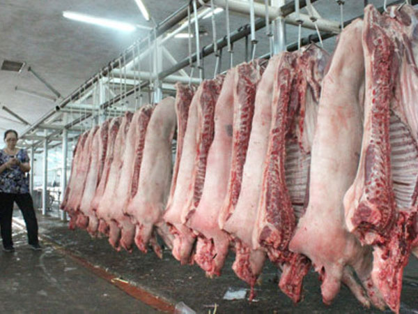 Sự cố tiêm thuốc an thần cho heo tại TP.HCM kìm đà tăng CPI tháng 11
