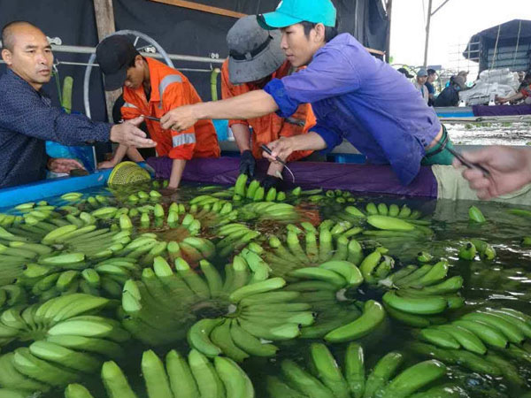 Ai đang là chủ nợ lớn nhất của Hoàng Anh Gia Lai?