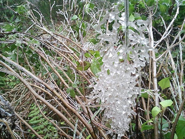 Băng giá xuất hiện ở đỉnh Fansipan