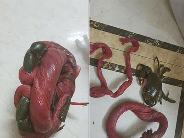 Câu chuyện kinh dị nhất mùa Halloween: Bà nội trợ mua cua lực sĩ, "cởi trói" xong thành cua còi dí