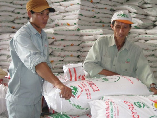 Ngành mía đường “kêu cứu”  vì không bán được 1kg nào