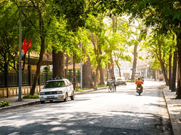 Dự báo thời tiết 1/1: Hà Nội, Sài Gòn rải nắng vàng
