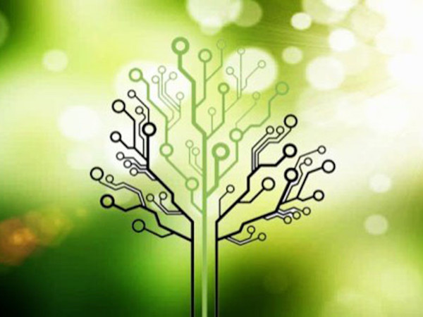 Ancestry.com rò rỉ dữ liệu trên 300.000 người dùng