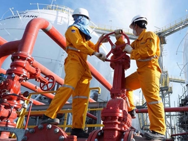 Vì sao hàng loạt doanh nghiệp niêm yết bị truy thu thuế