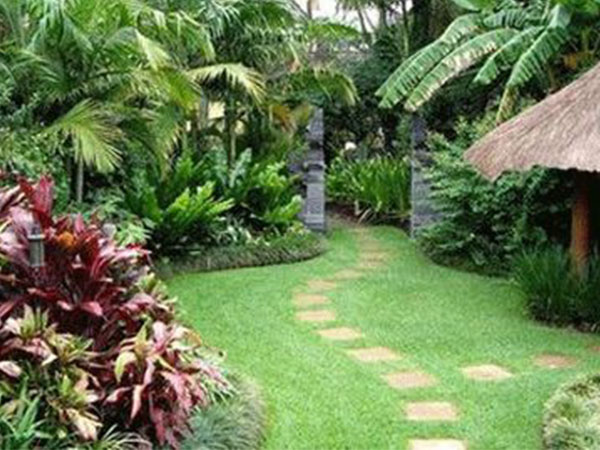 Cách trồng cây phong thủy trong vườn hút tài lộc