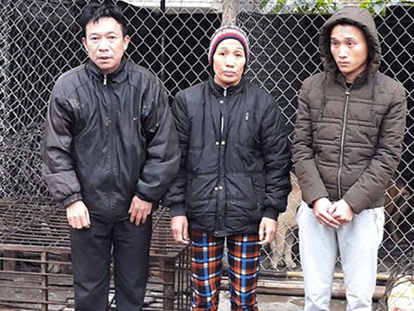 50 cảnh sát bao vây đường dây trộm chó