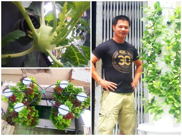 Biết vợ mang bầu, ông bố Sài Thành quyết trồng rau sạch bảo vệ sức khỏe vợ con