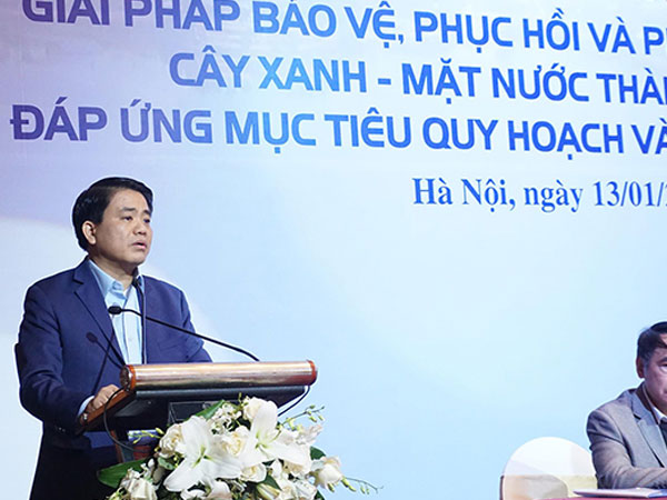 Chủ tịch Hà Nội: Nhiều người đổ nước sôi, dầu xuống cây xanh trước nhà