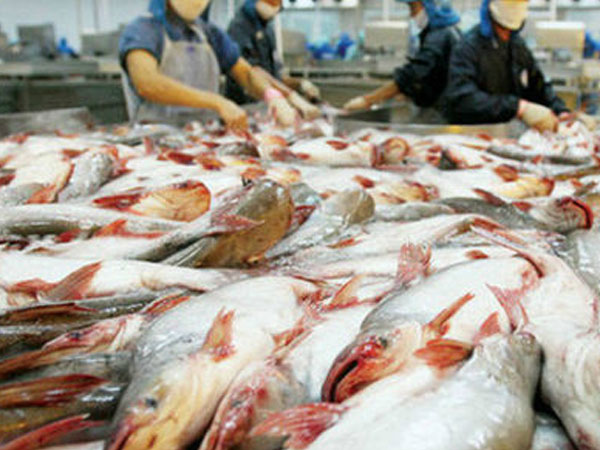 Thuỷ sản Hùng Vương bỗng dưng lỗ nặng gấp 10 lần sau kiểm toán
