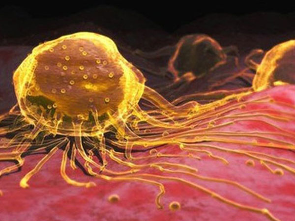 Uống hạt nano vàng: Không tác dụng chữa ung thư, thậm chí gây độc