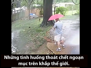 Những tình huống thoát chết thần kỳ trên thế giới