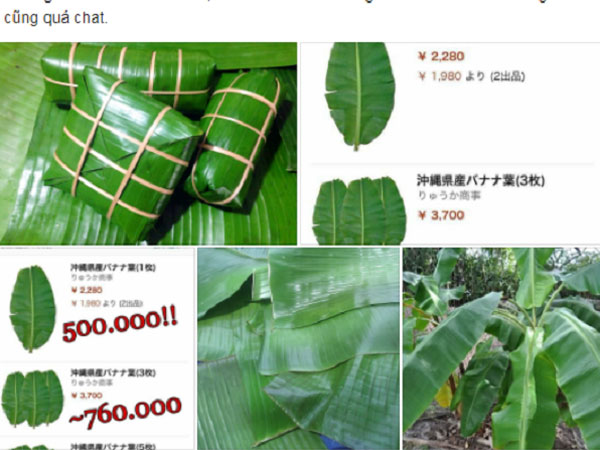 Lá chuối Việt Nam được rao bán tại Nhật giá 500.000 đồng/chiếc