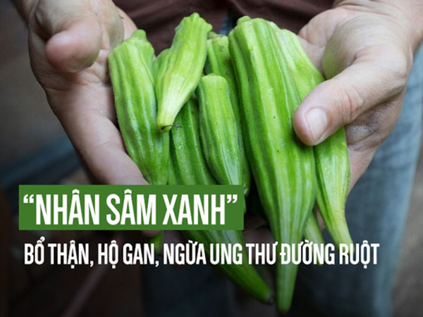 Loại quả phổ biến ở VN được gọi là 'nhân sâm xanh' bổ thận hàng đầu, tốt cho gan, dạ dày