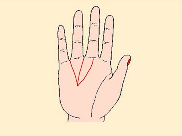 Nếu bạn có 4 đường chỉ tay này, không sớm thì muộn bạn sẽ sống trong giàu sang phú quý