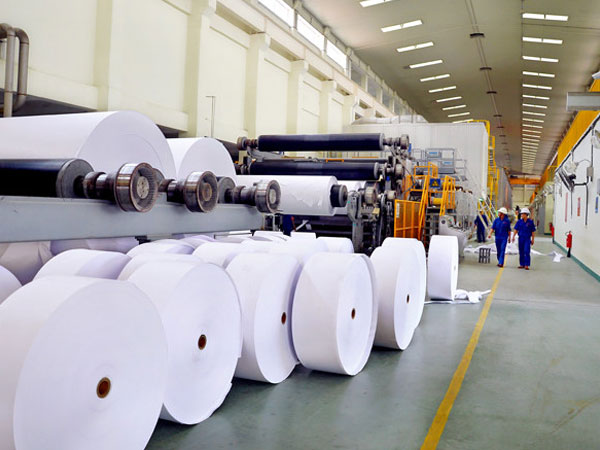 Nhiều doanh nghiệp Việt bị lừa tại Thái Lan
