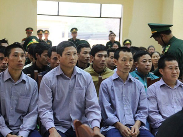 Xét xử 21 bị cáo vụ phá rừng pơ mu 'khủng' ở Quảng Nam