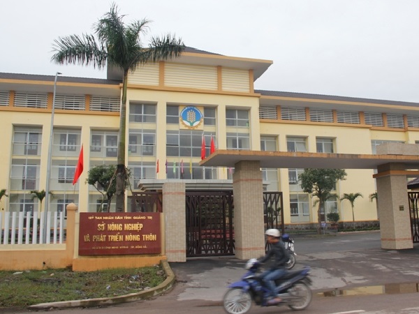 Quảng Trị: 57 người trong một sở không có bằng THPT