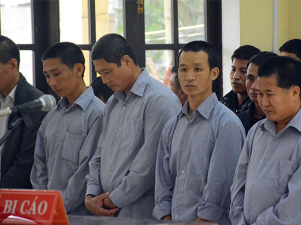 Trả hồ sơ, điều tra lại vụ phó đồn biên phòng phá rừng pơ mu