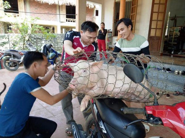 Video: Gia đình thủ môn Tiến Dũng mổ lợn khao cả làng trước trận bán kết