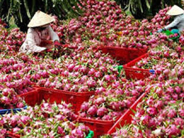 Bộ Công Thương cảnh báo doanh nghiệp Việt bị lừa đảo tại Mỹ