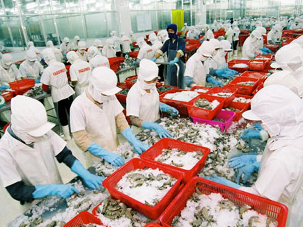 Đại gia thủy sản vỡ trận: Nợ 10 ngàn tỷ, lỗ nặng 700 tỷ