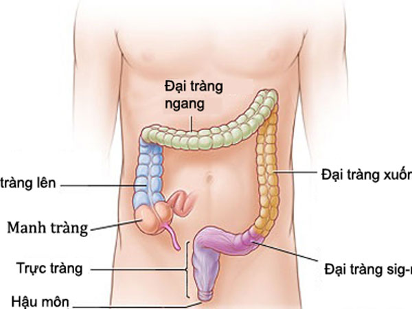 5 dấu hiệu báo động bạn bị ung thư đại trực tràng