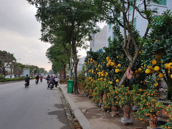 Mặt bằng bán hàng Tết, giờ có tiền cũng khó thuê được