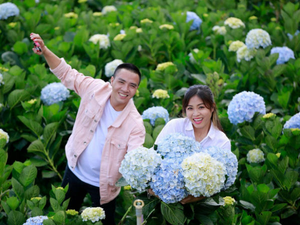 MC Hoàng Linh hạnh phúc như cô gái lần đầu biết yêu trong bộ ảnh cưới tại vườn cẩm tú cầu Đà Lạt