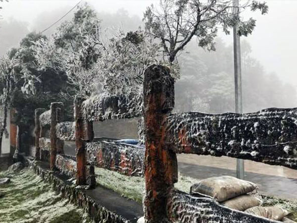 Rét còn -1,6 độ, nông dân Tây Bắc vật vã bảo vệ 'đầu cơ nghiệp'