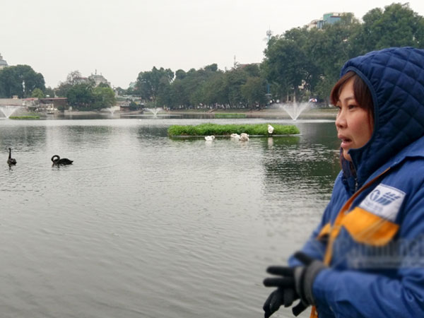 Canh giữ 24/24h, mất thiên nga là mất Tết