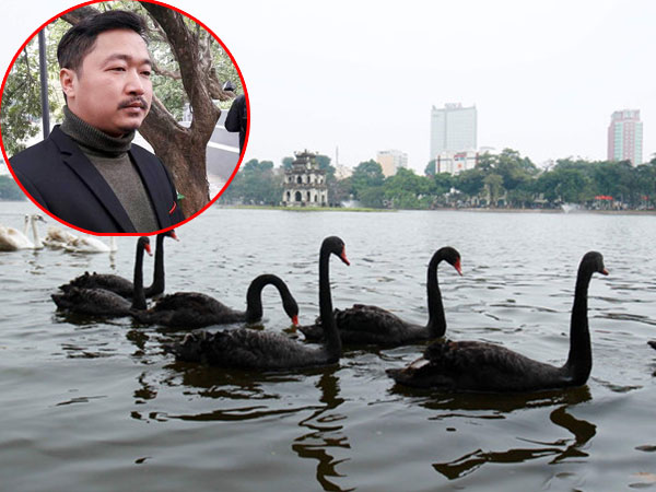 Người tặng thiên nga tại Hà Nội từng bị phạt vì nuôi động vật hoang dã