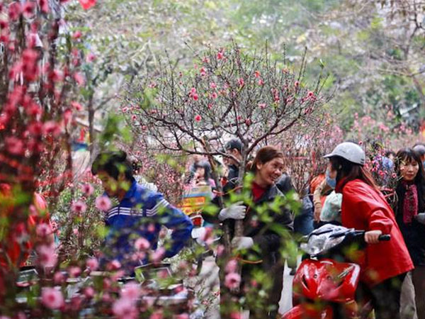 Hà Nội đón thêm một đợt không khí lạnh những ngày giáp Tết, trời chuyển mưa rét